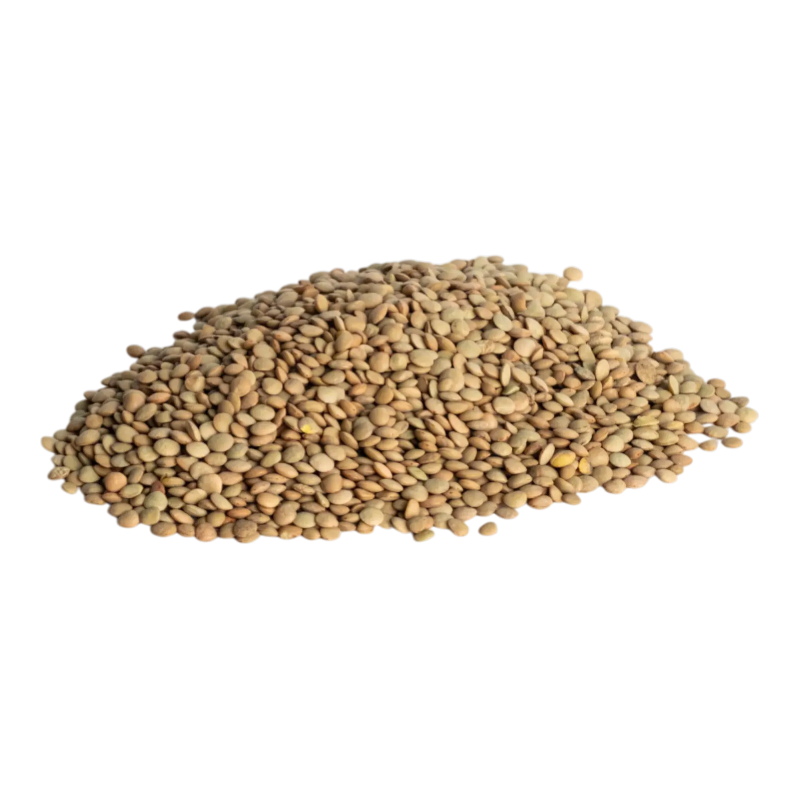 Linte verde boabe integrale, sursă naturală de proteine vegetale și fibre, ideală pentru salate, supe și tocănițe.