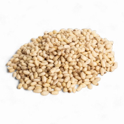 Semințe de muguri de pin (nucă de pin), bogate în proteine, vitamine și minerale, ideale pentru salate, pesto și deserturi.