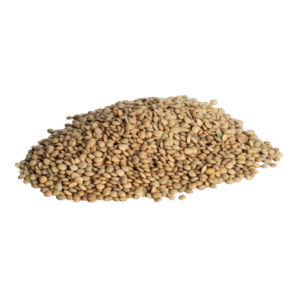 Linte verde boabe integrale, sursă naturală de proteine vegetale și fibre, ideală pentru salate, supe și tocănițe.