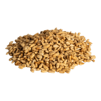 Miez de semințe de floarea-soarelui caramelizat, gustare crocantă și dulce, bogată în energie și arome naturale.